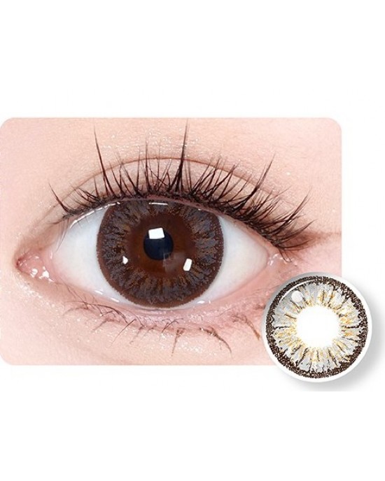 Timido〈媞蜜多&蜜緹〉彩色日拋隱形眼鏡【10片裝】5盒送1盒共6盒