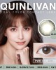 QUINLIVAN慕〈微美瞳〉彩色日拋隱形眼鏡【10片裝】2盒
