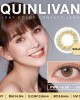 QUINLIVAN慕〈微美瞳〉彩色日拋隱形眼鏡【10片裝】(日光黃)