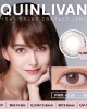 QUINLIVAN慕〈微美瞳〉彩色日拋隱形眼鏡【10片裝】(花神粉)