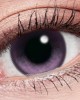 Lens++〈星月系列〉彩色日拋隱形眼鏡【10片裝】5盒送1盒共6盒