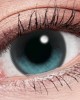 Lens++〈星月系列〉彩色日拋隱形眼鏡【10片裝】5盒送1盒共6盒