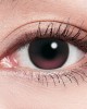 Lens++〈星光〉定軸彩色月拋軟式隱形眼鏡【2片裝】4盒送2盒共6盒