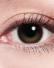 Lens++〈星光〉定軸彩色月拋軟式隱形眼鏡【2片裝】4盒送2盒共6盒