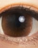 大立光星歐〈彩色系列〉日彩拋隱形眼鏡【10片裝】6盒送2盒共8盒 大立光星歐〈彩色系列〉日彩拋隱形眼鏡【10片裝】6盒送2盒共8盒