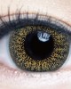 大立光星歐〈美妝系列〉日彩拋隱形眼鏡【10片裝】8盒送10片(顏色隨機) 大立光星歐〈美妝系列〉日彩拋隱形眼鏡【10片裝】8盒送10片(顏色隨機)