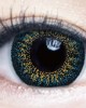 大立光星歐〈美妝系列〉日彩拋隱形眼鏡【10片裝】8盒送10片(顏色隨機) 大立光星歐〈美妝系列〉日彩拋隱形眼鏡【10片裝】8盒送10片(顏色隨機)