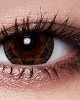 愛能視彩色月拋隱形眼鏡【1片裝】混搭6盒送2盒共8盒 愛能視彩色月拋隱形眼鏡【1片裝】混搭6盒送2盒共8盒