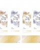 愛能視〈幻鏡&緹艾絲〉彩色日拋隱形眼鏡【10片裝】6盒